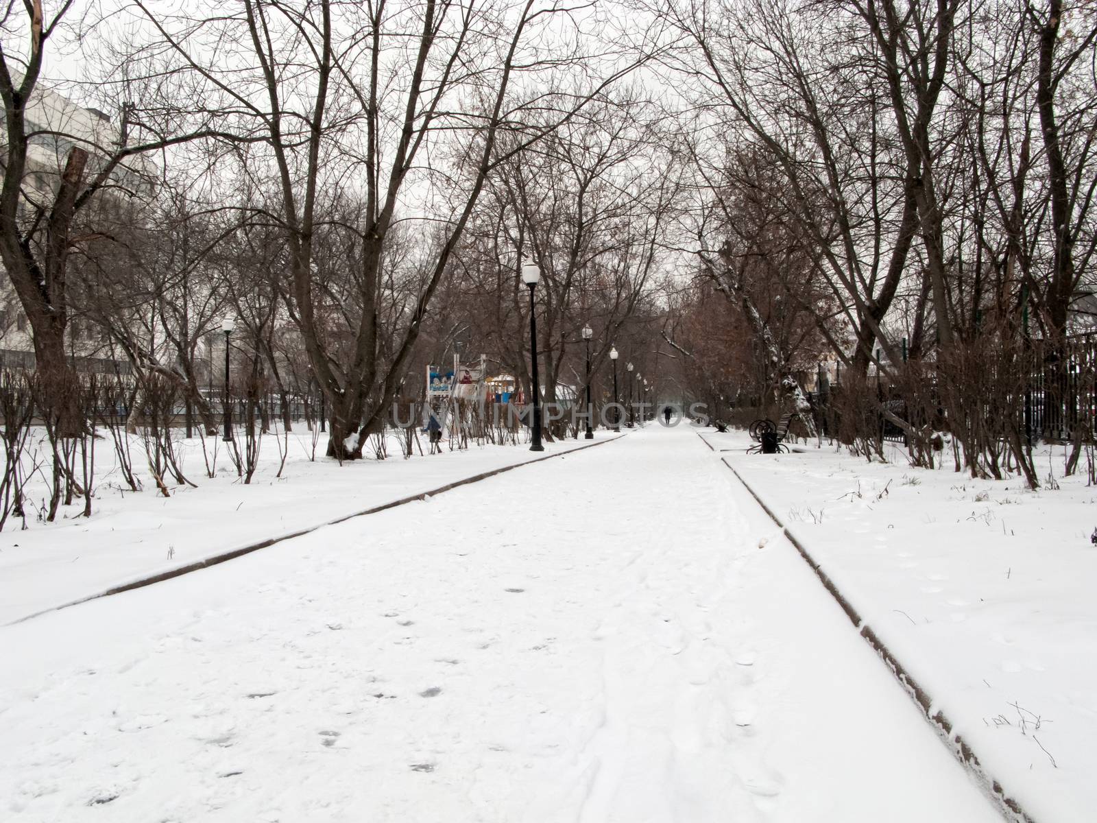 Cloudy winter day in the park. Cold, peace and quiet of winter nature