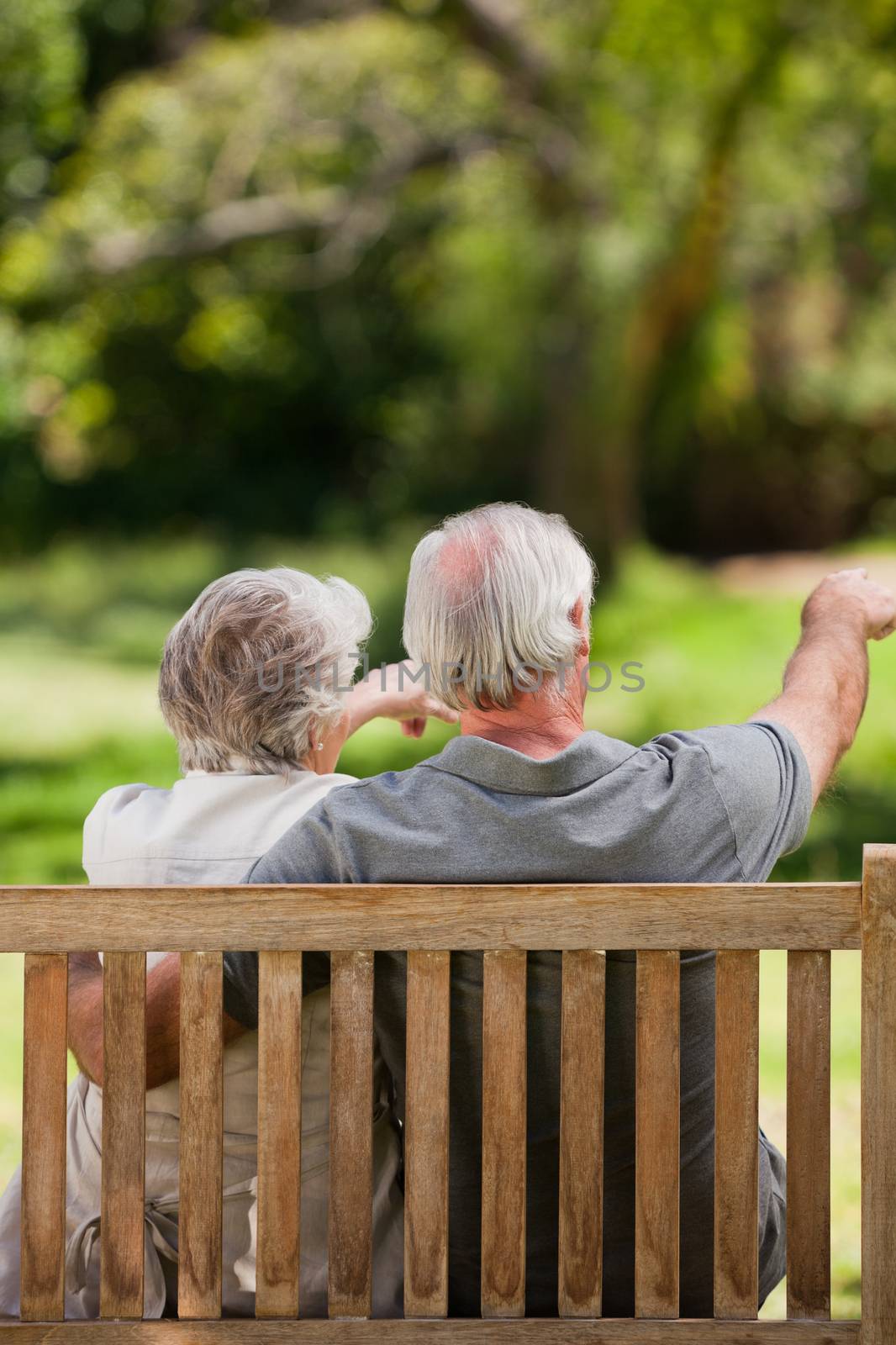 Couple sitting on the bench with their back to the camera