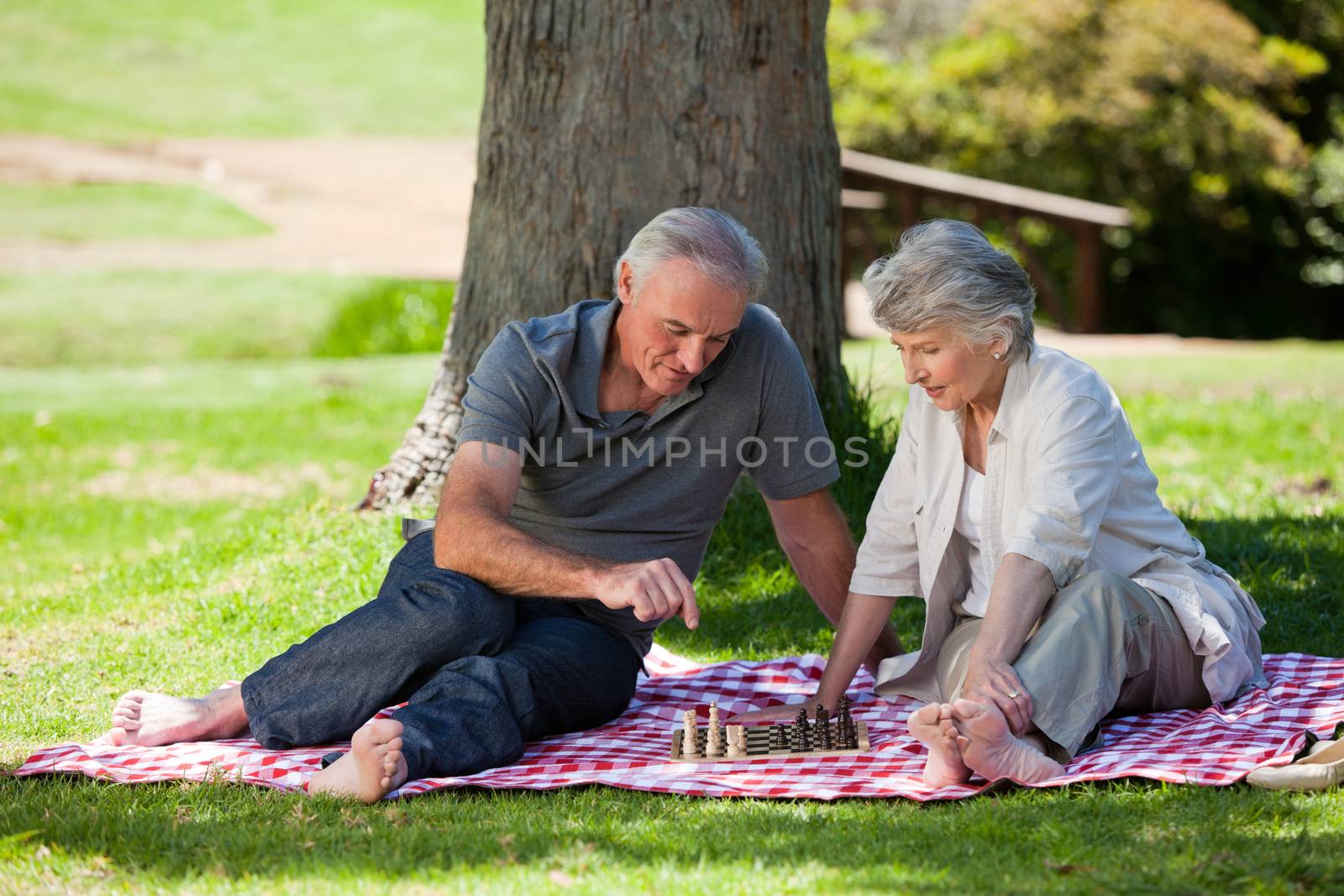 Mature couple playing chess outdoors
