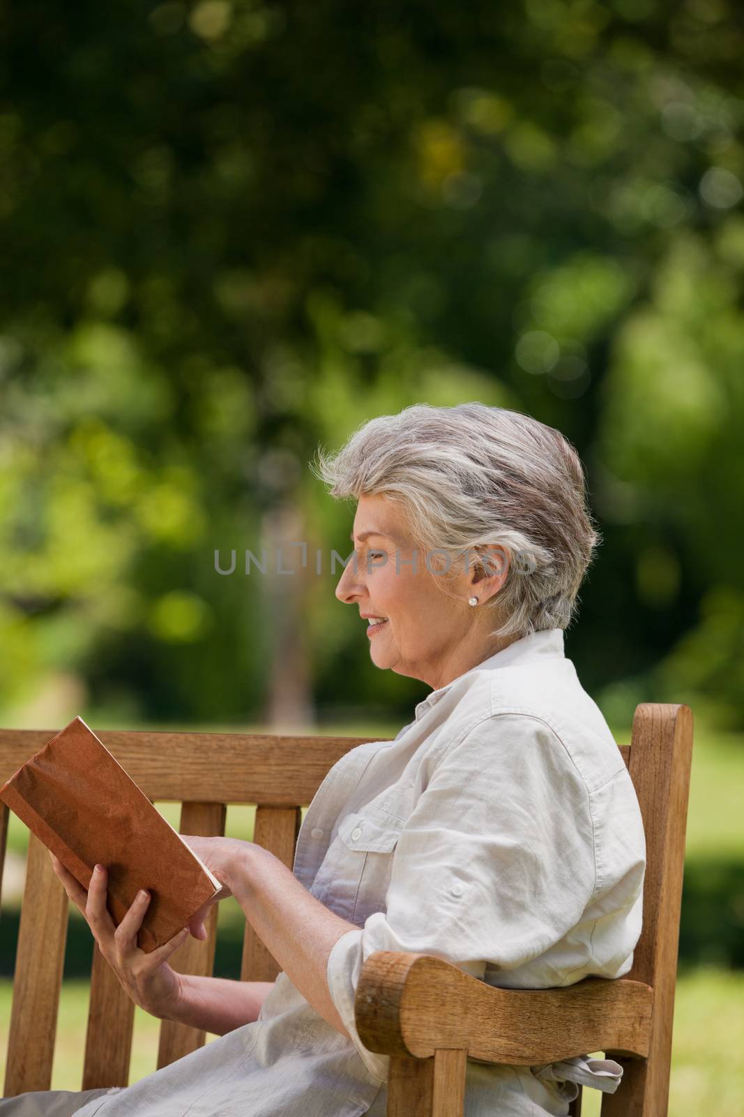 Retired woman reading a book on the bench by Wavebreakmedia