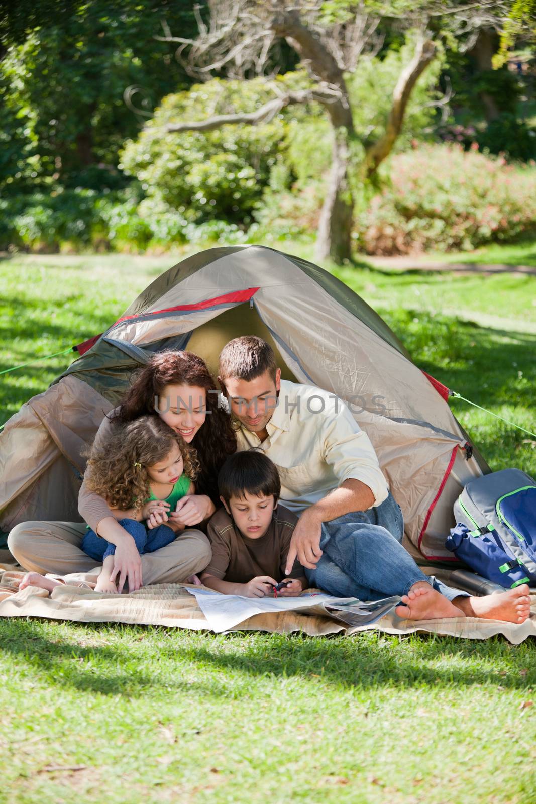 Joyful family camping by Wavebreakmedia