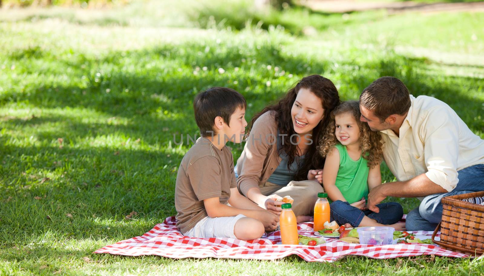 Family picnicking together 