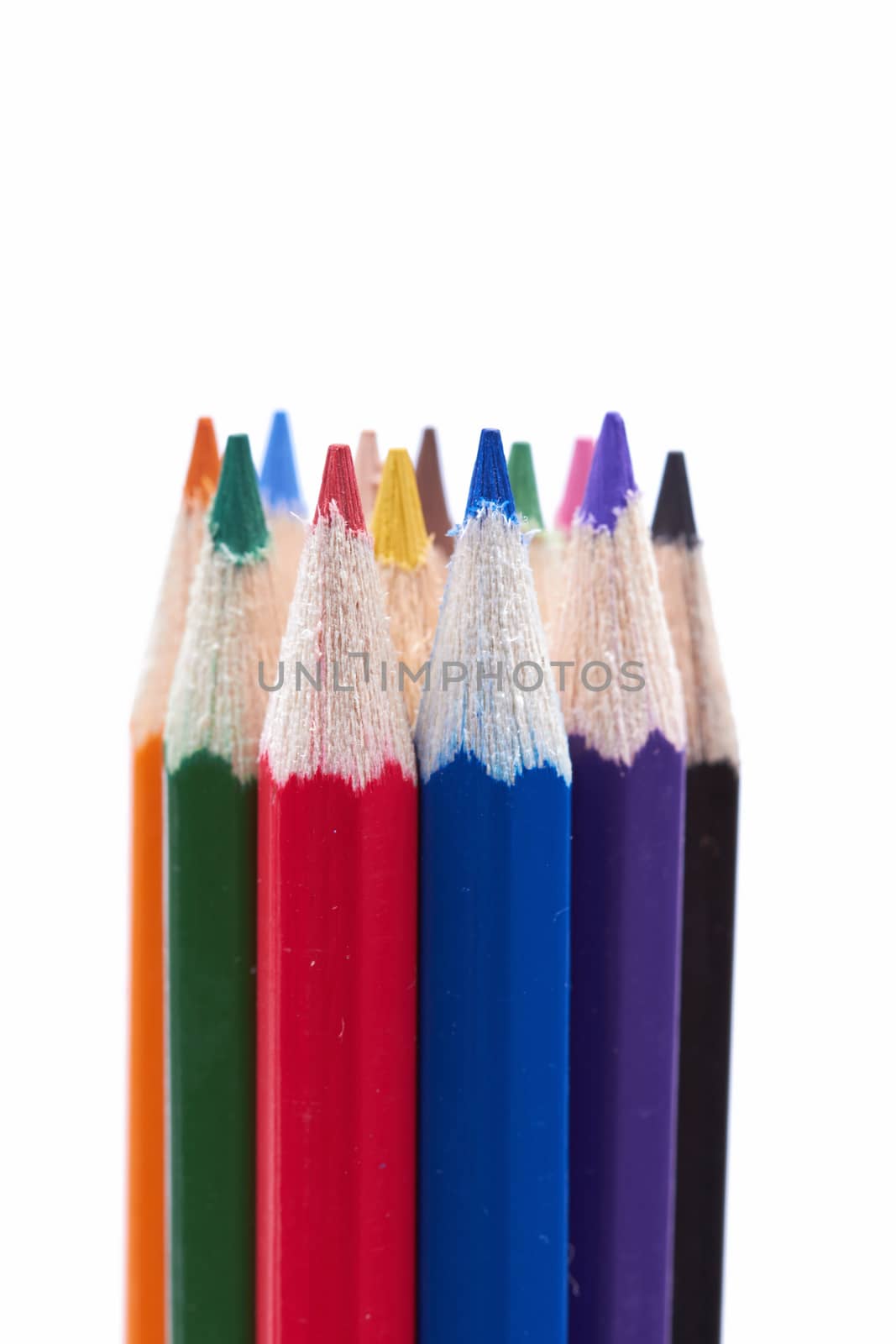 Colorful pencils isolated on a white background 