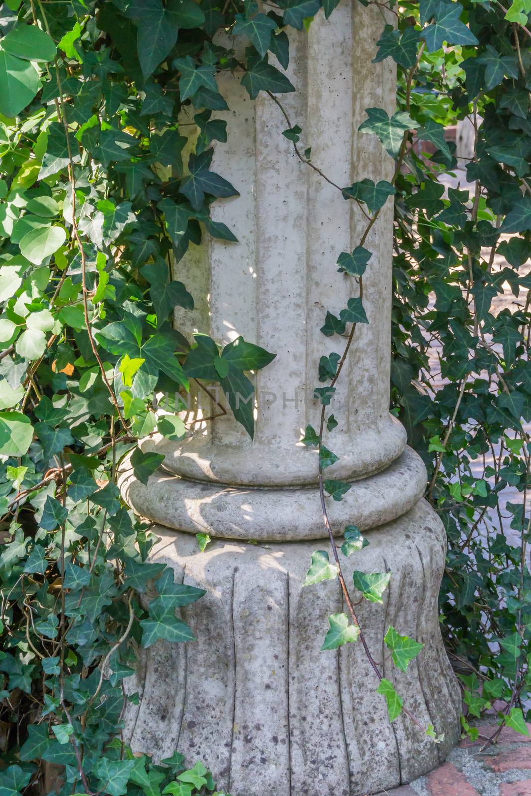 beautiful garden decorative greek roman stone historical pillar overgrown with ivy background decoration by charlottebleijenberg