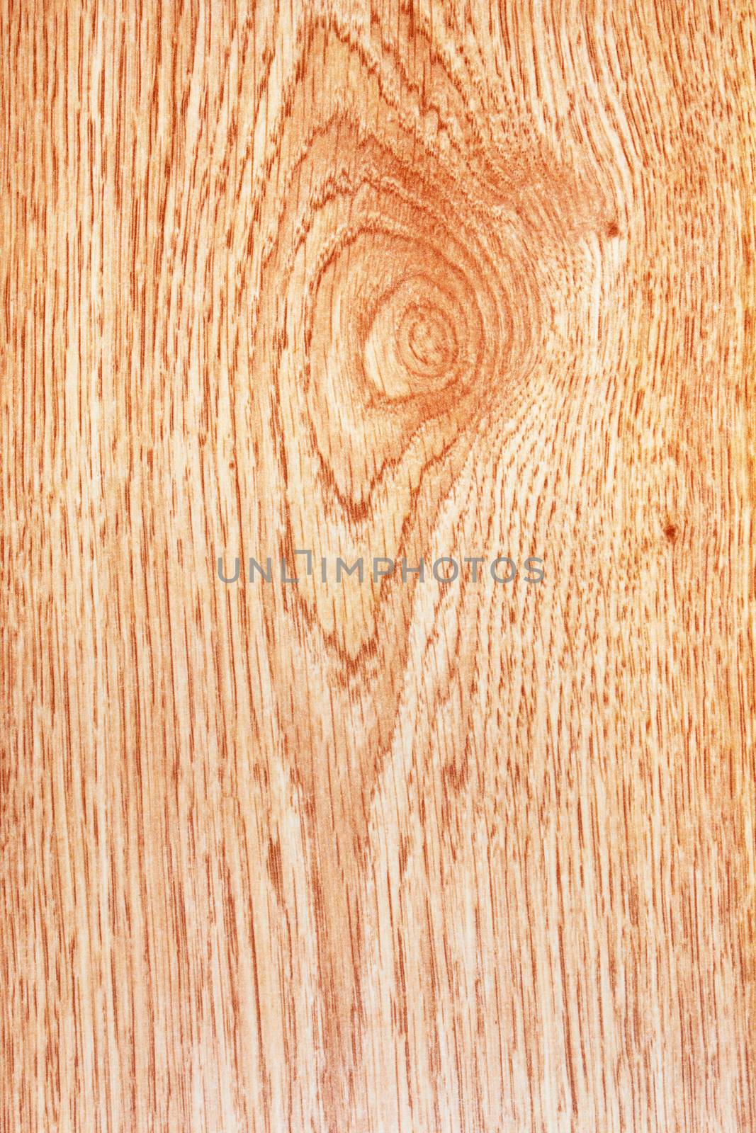 Pattern of wood - can be used as background 