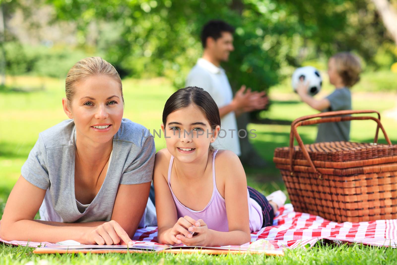 Family picnicking in the park during the summer