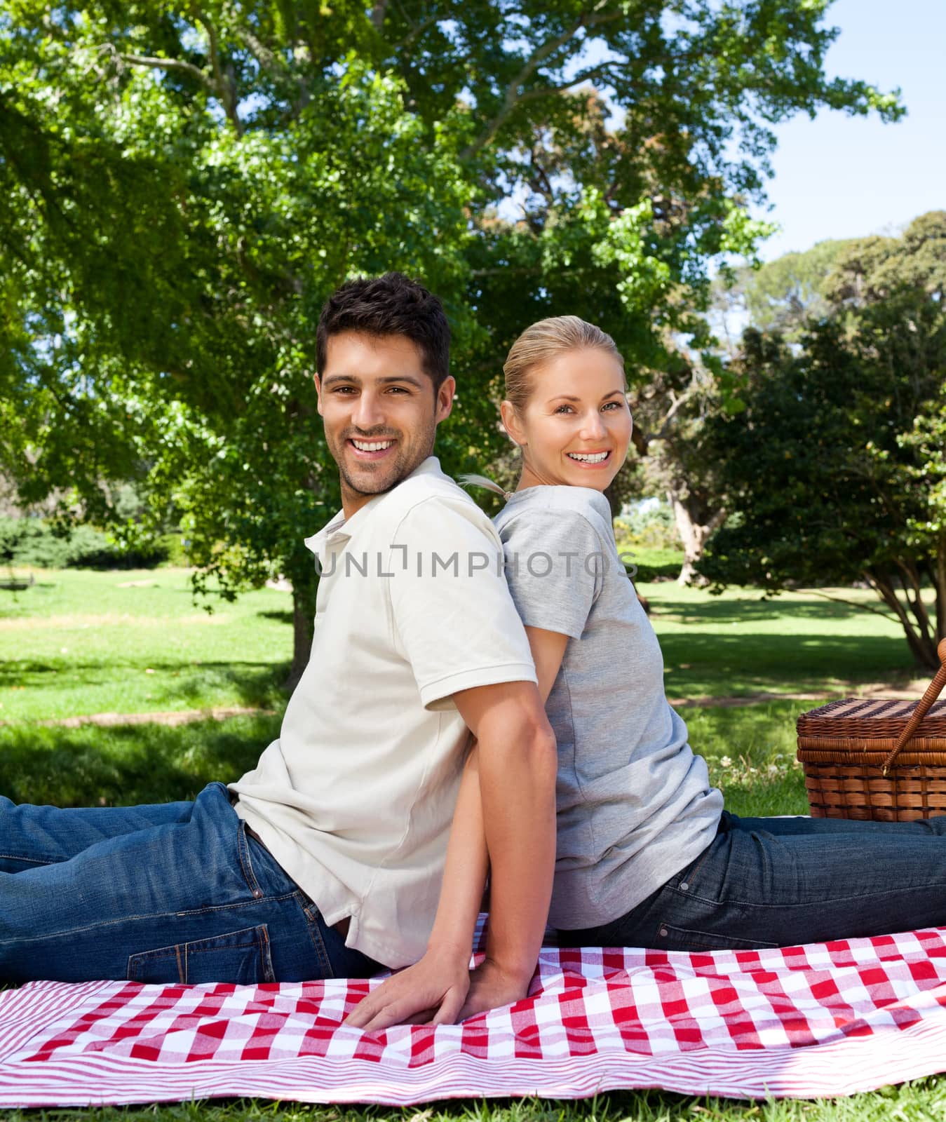 Lovers picnicking in the park during the summer