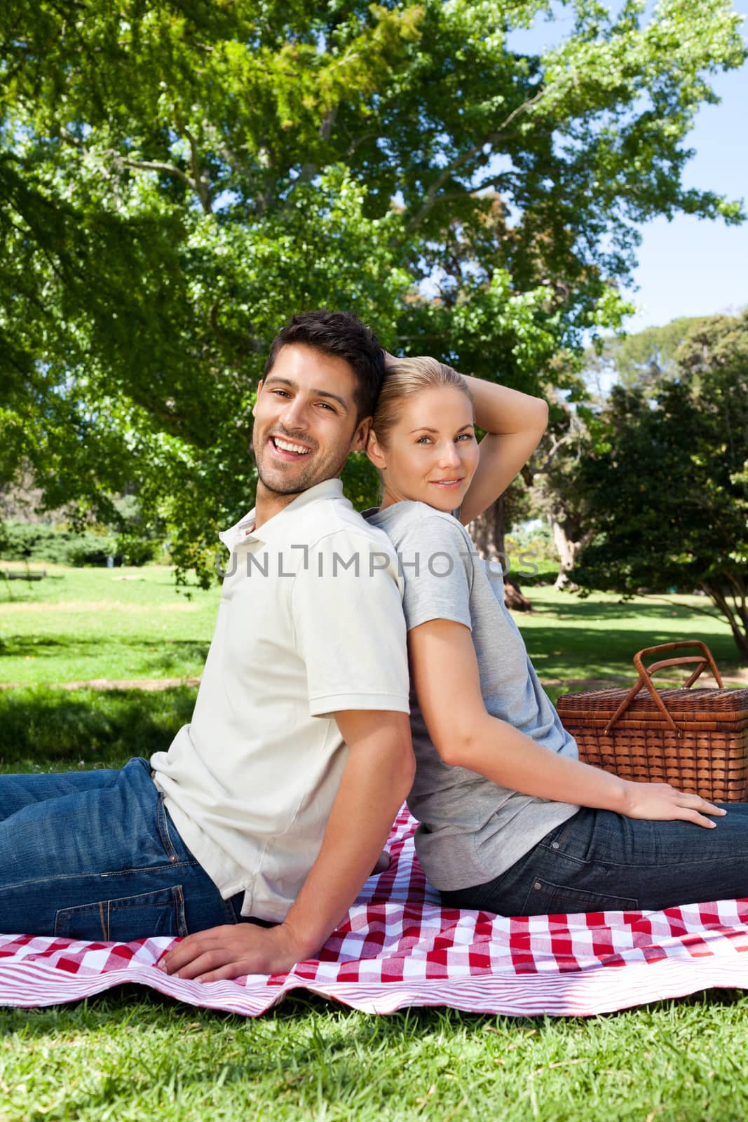 Lovers picnicking in the park by Wavebreakmedia