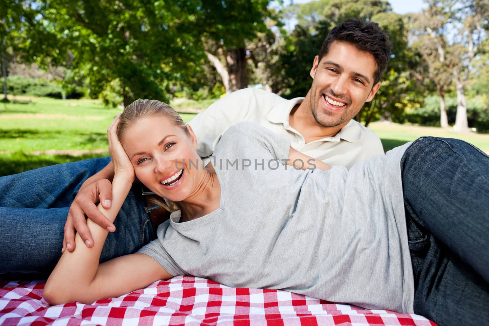 Couple picnicking in the park during the summer