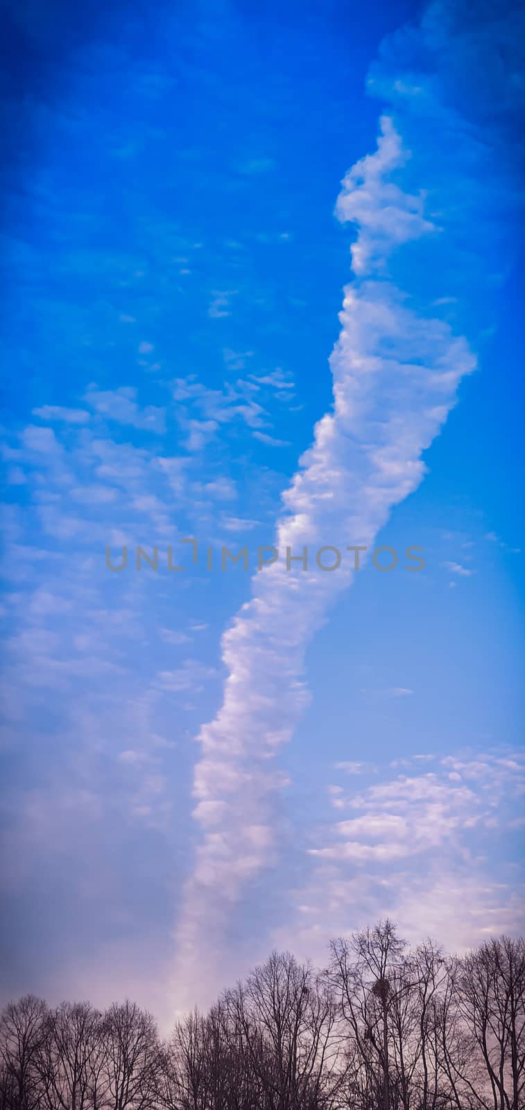 Freedom concept. Beautiful altocumulus cloud skyscape over the trees. Beautiful white altocumulus clouds on a clear blue sky.