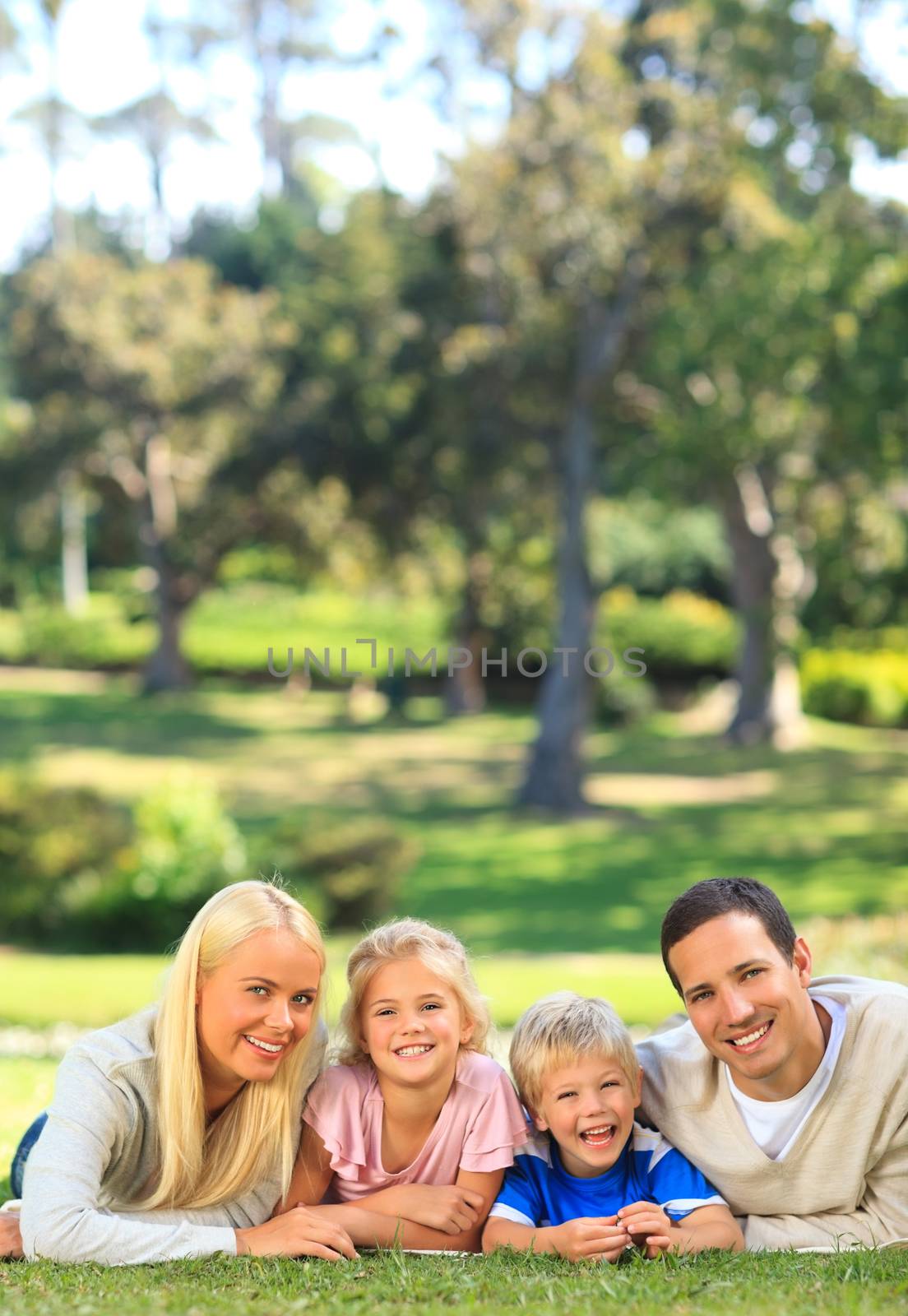 Family lying down in the park during the summer