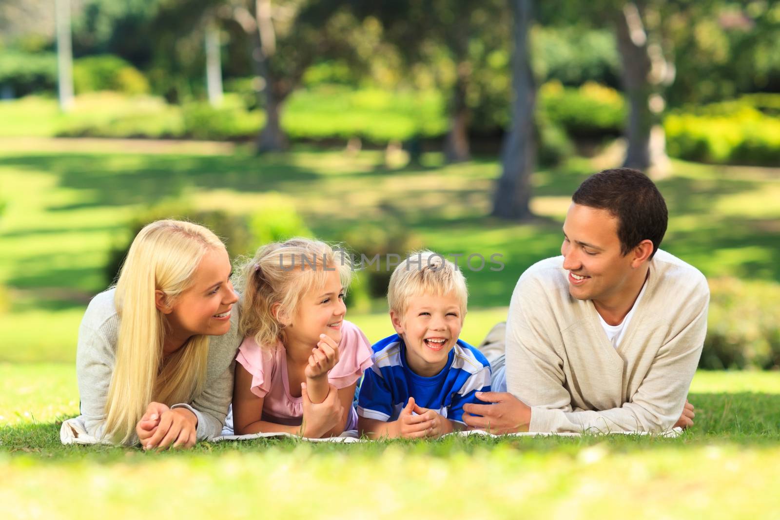 Family lying down in the park during the summer