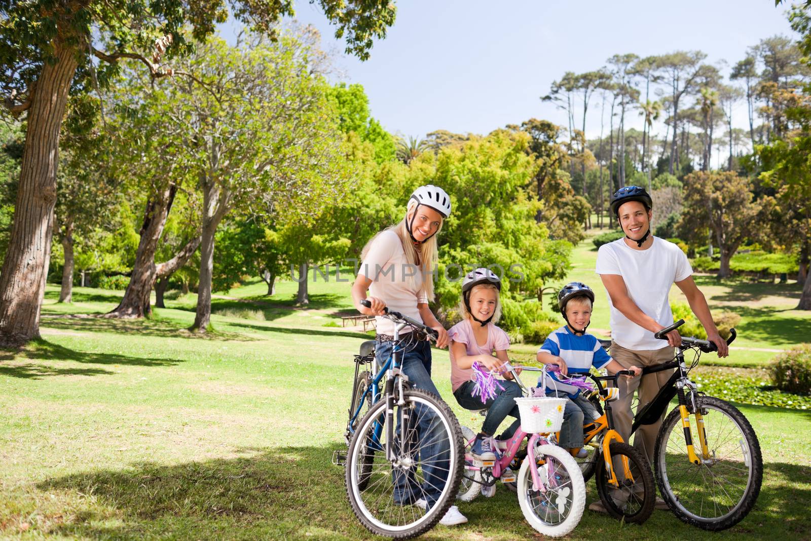 Family in the park with their bikes by Wavebreakmedia