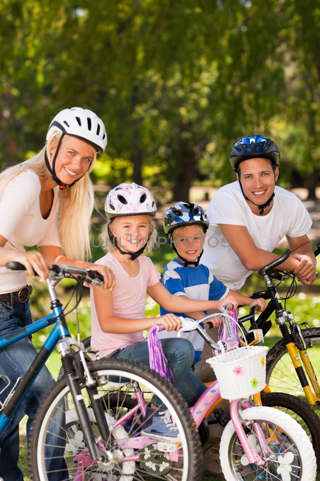 Family in the park with their bikes by Wavebreakmedia
