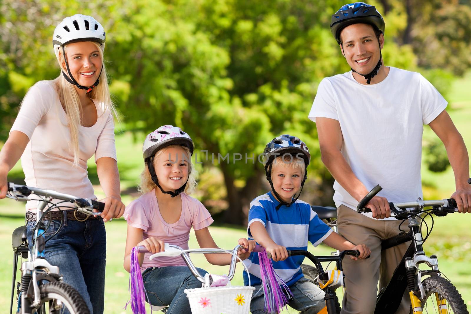 Family in the park with their bikes by Wavebreakmedia