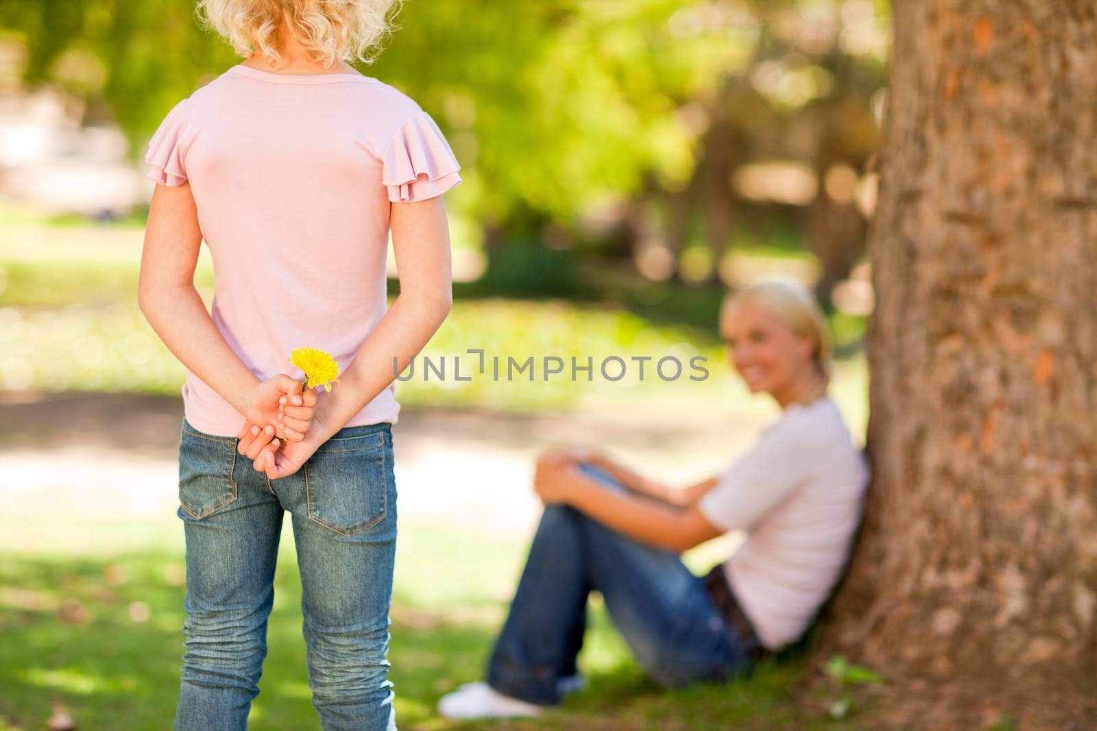 Daughter offering a flower to her mother during the summer 