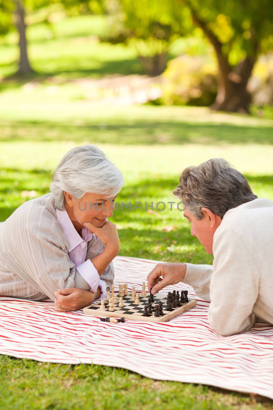 Elderly couple playing chess in a park