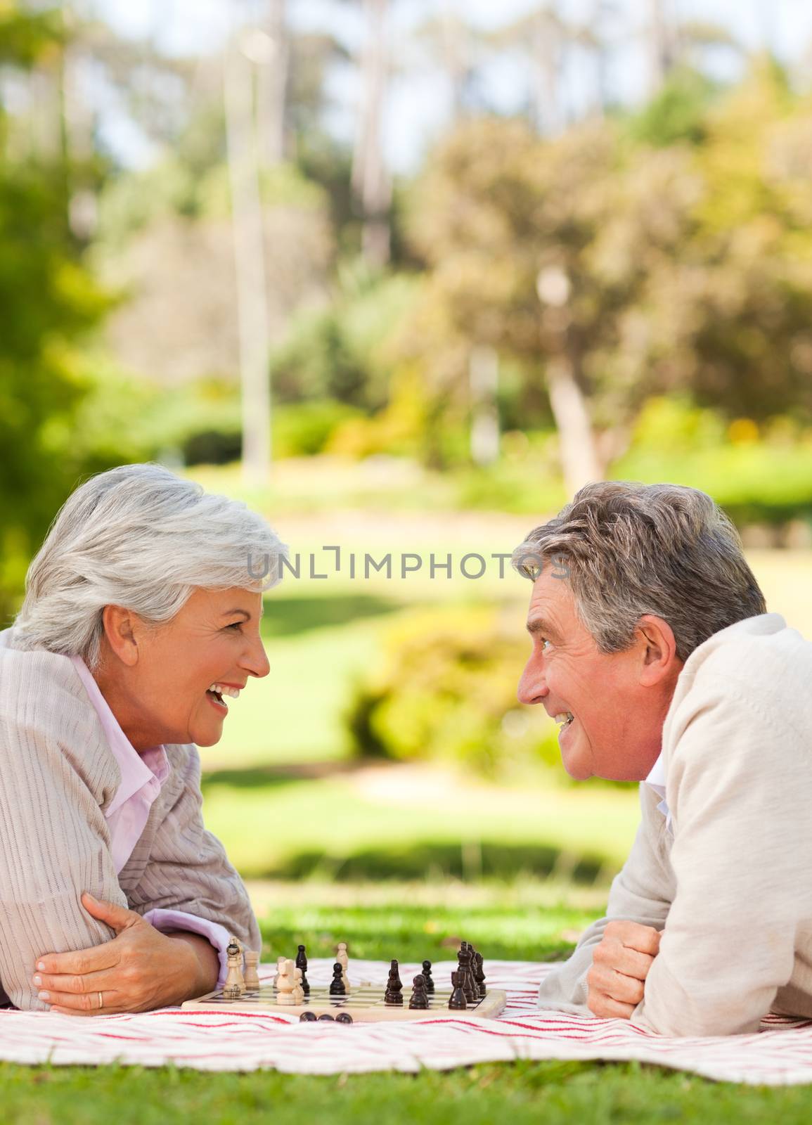 Retired couple playing chess in a park