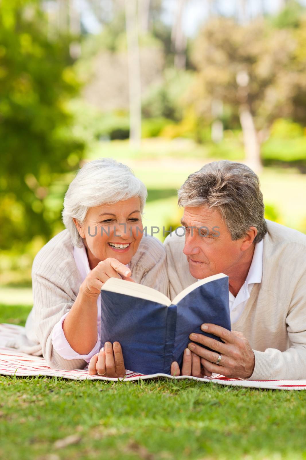 Couple reading a book in the park during the summer