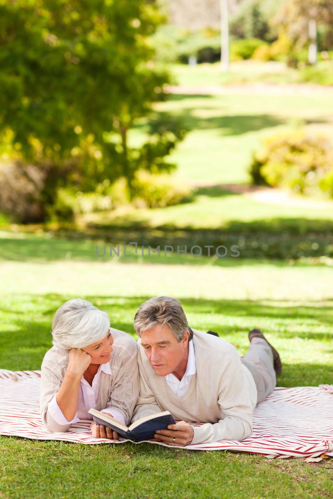 Couple reading a book in the park during the summer
