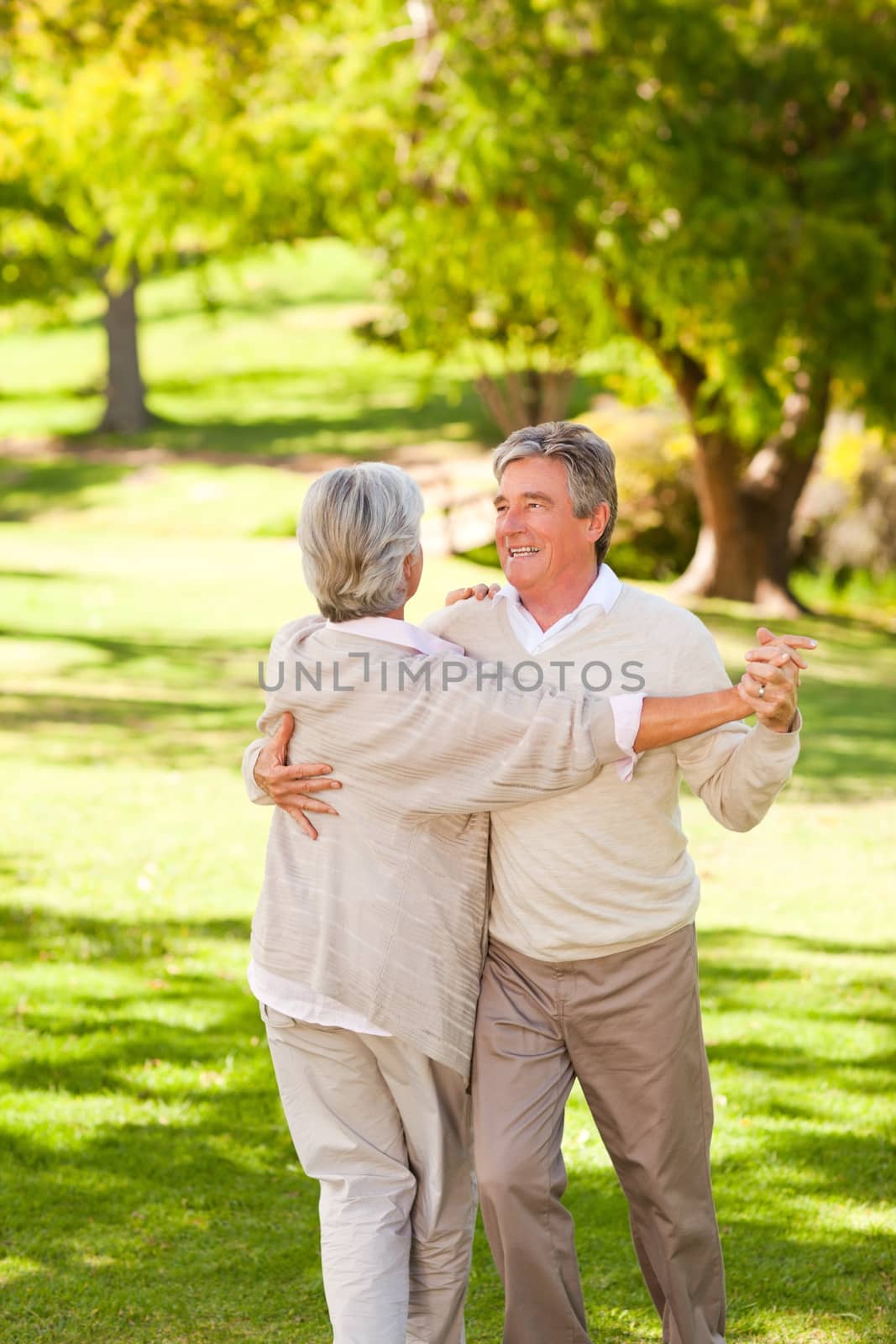 Mature couple dancing in the park by Wavebreakmedia