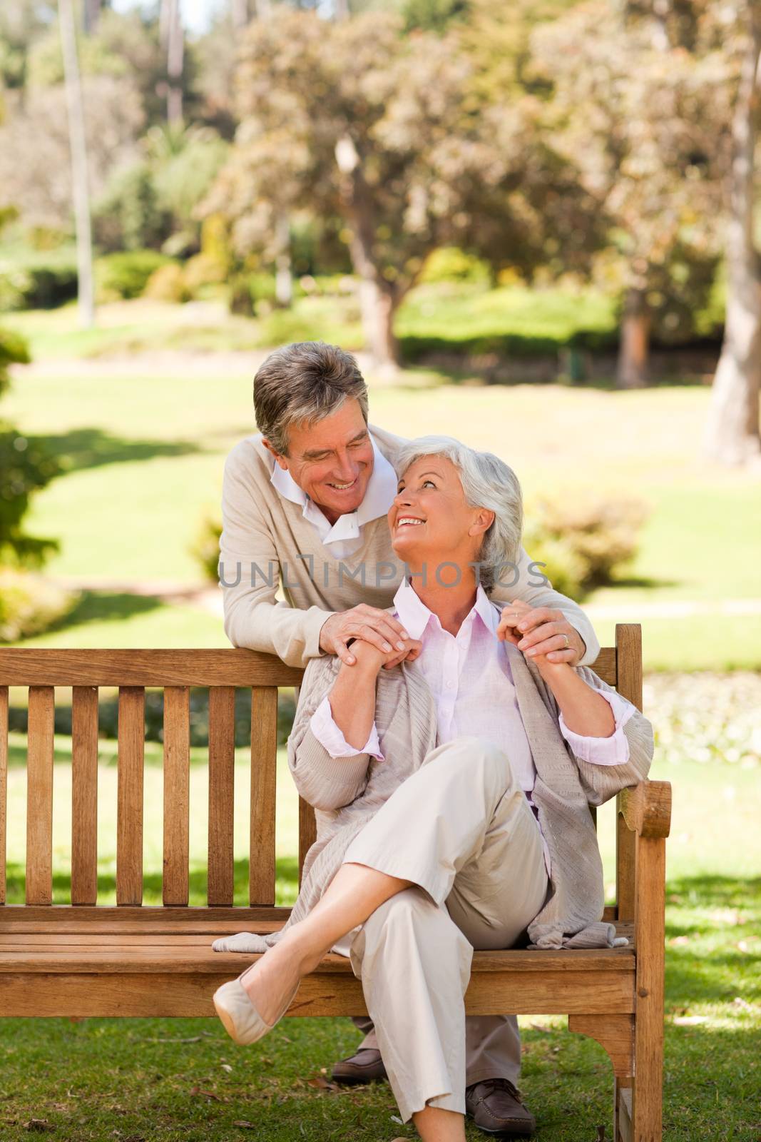 Elderly couple in the park during the summer