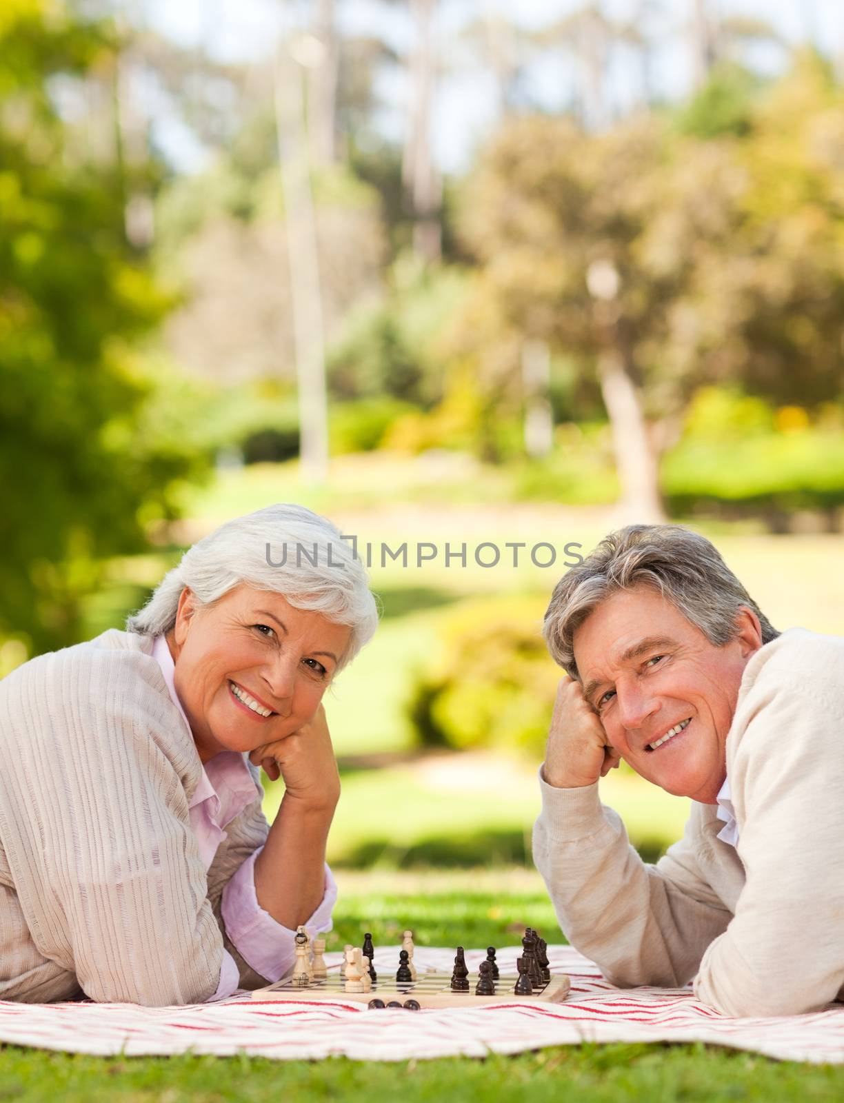 Retired couple playing chess in a park