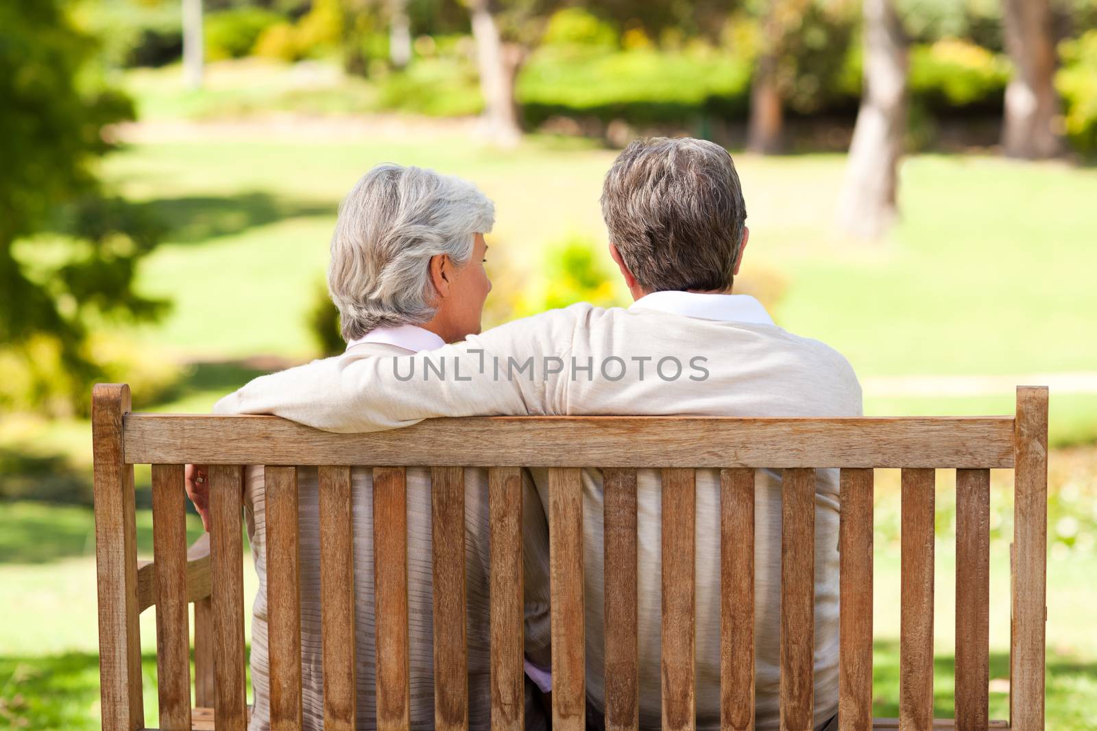 Lovers on the bench during the summer