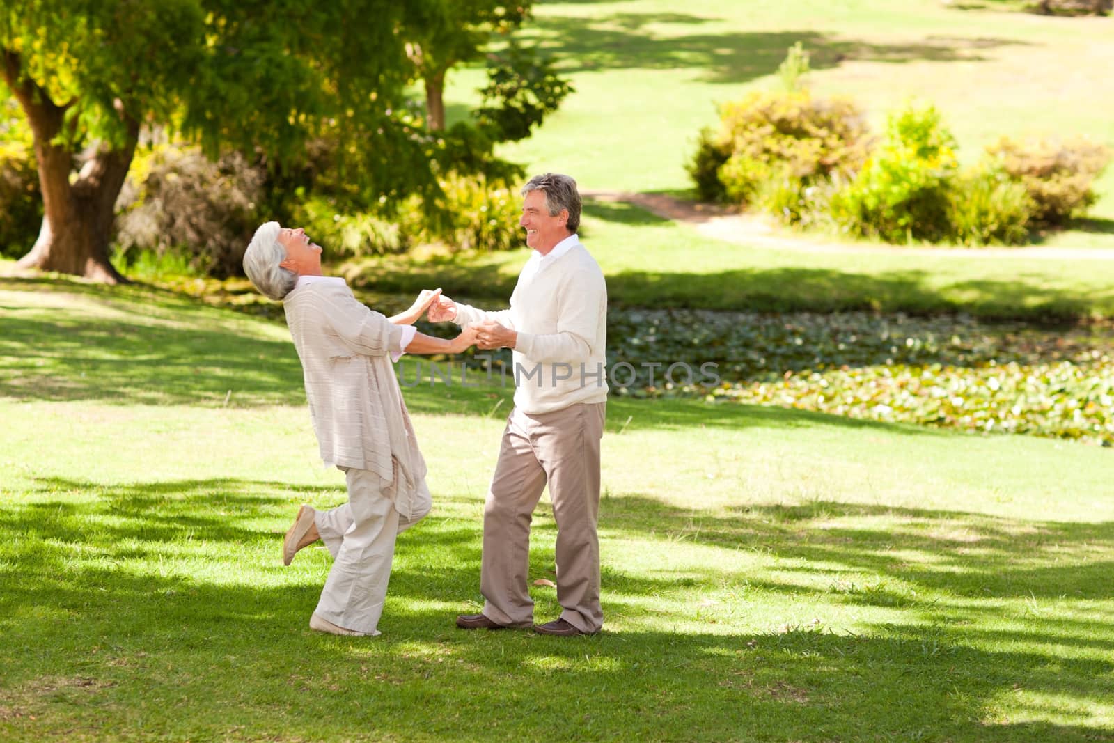 Mature couple dancing in the park during the summer