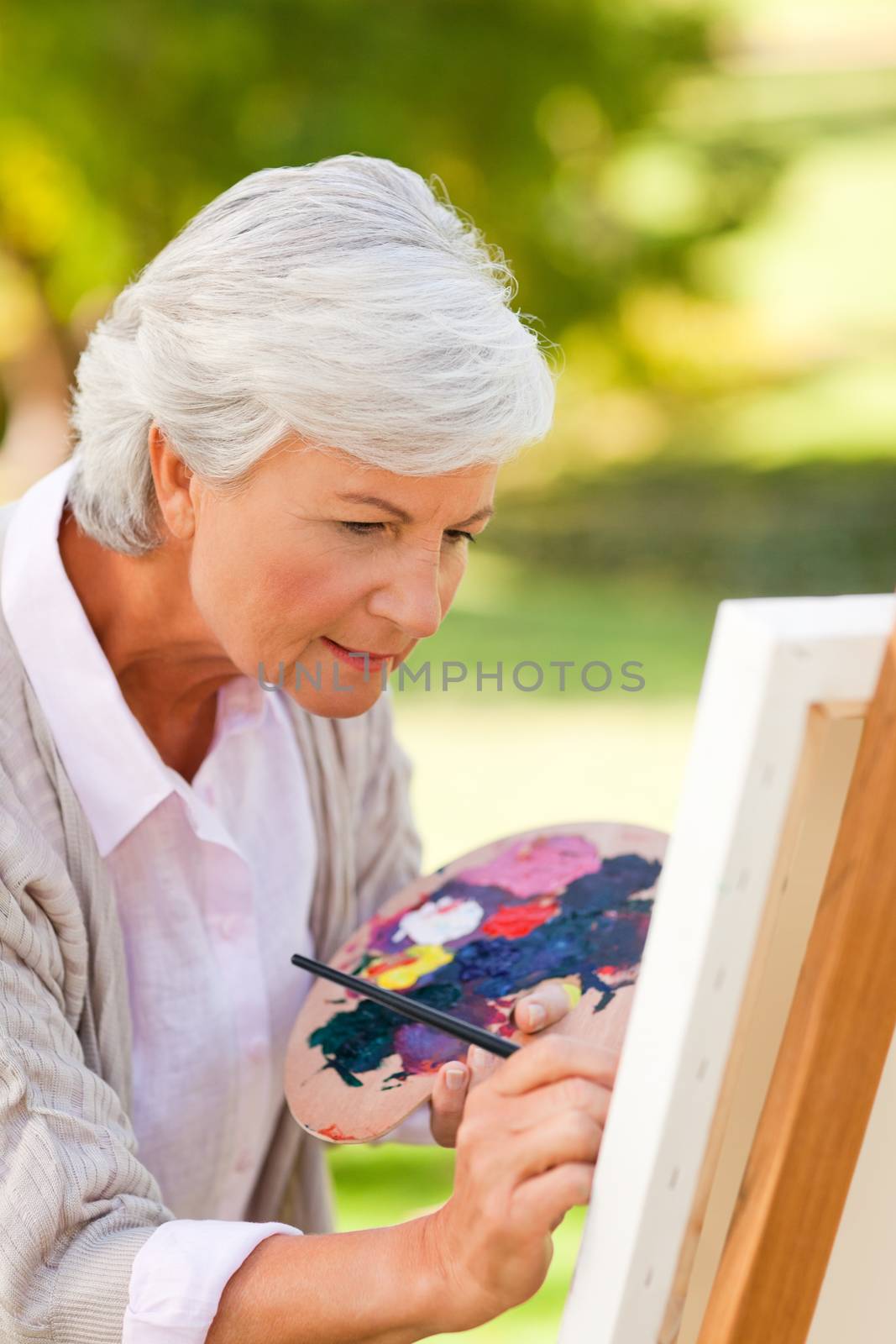 Mature woman painting in the park by Wavebreakmedia