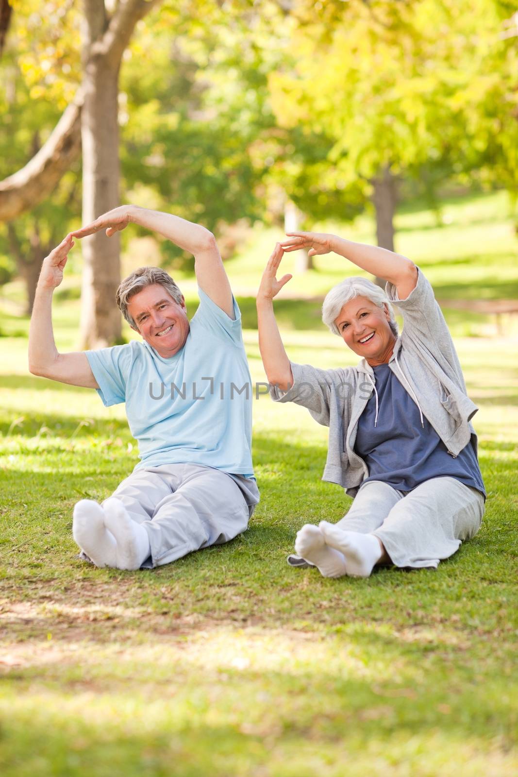 Elderly couple doing their stretches in the park during the summer