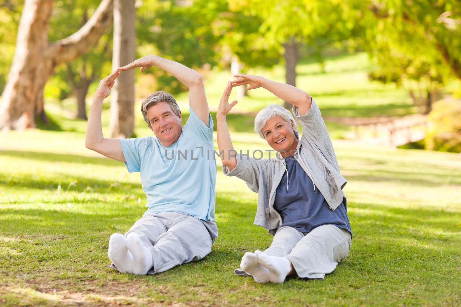 Elderly couple doing their stretches in the park during the summer