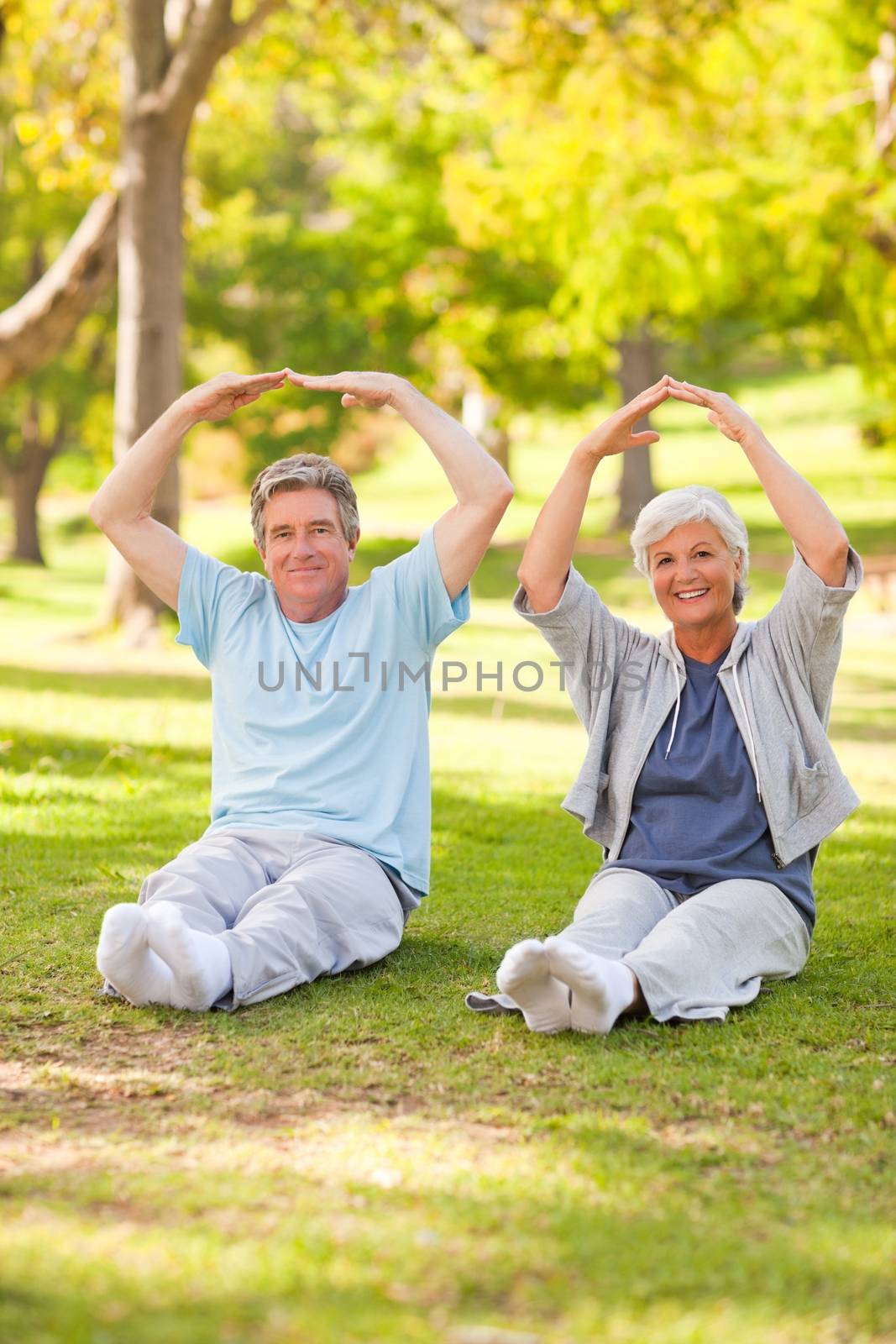 Elderly couple doing their stretches in the park during the summer