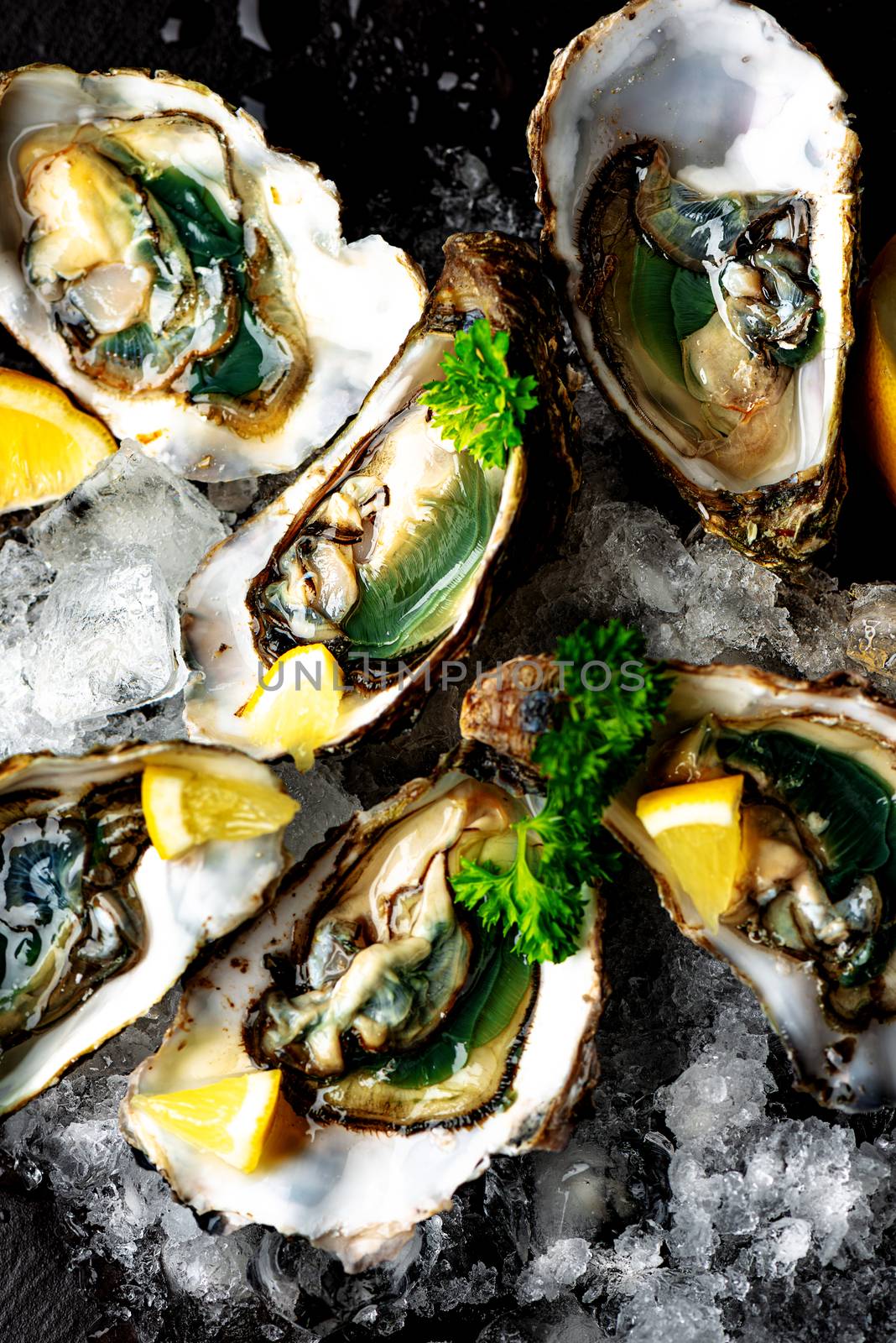 Raw opened oysters on crushed ice with lemon and parsley