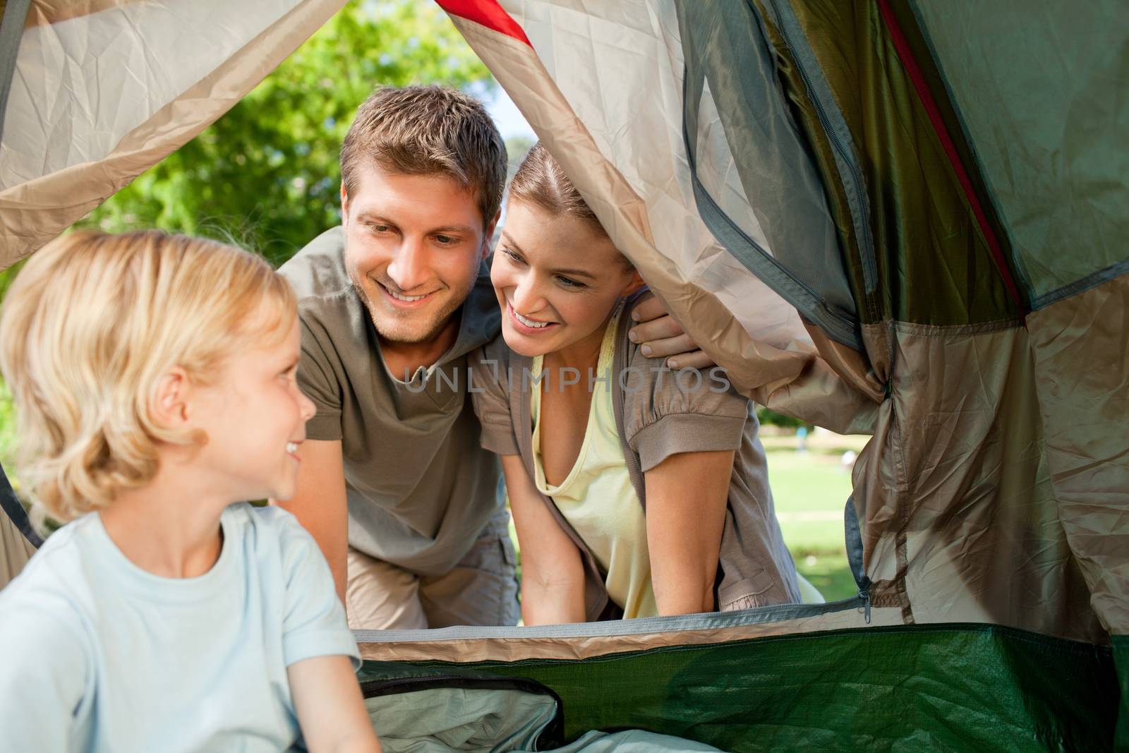 Family camping in the park during the summer