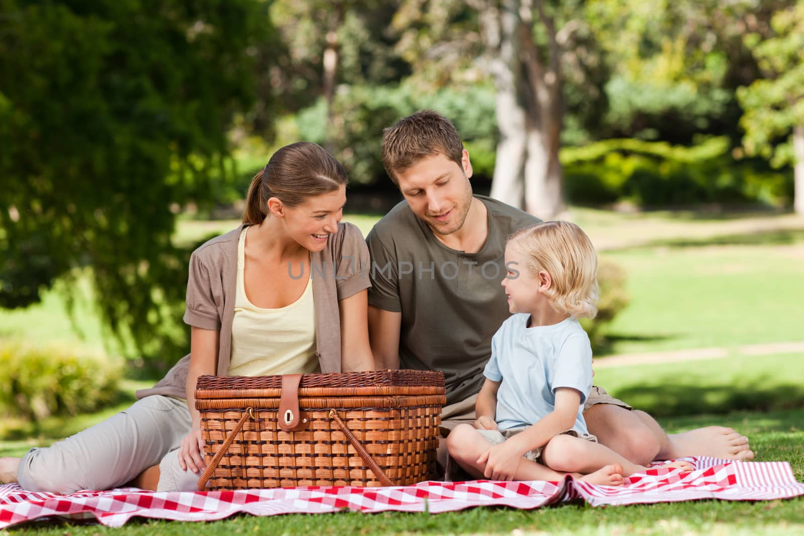 Joyful family picnicking in the park during the summer