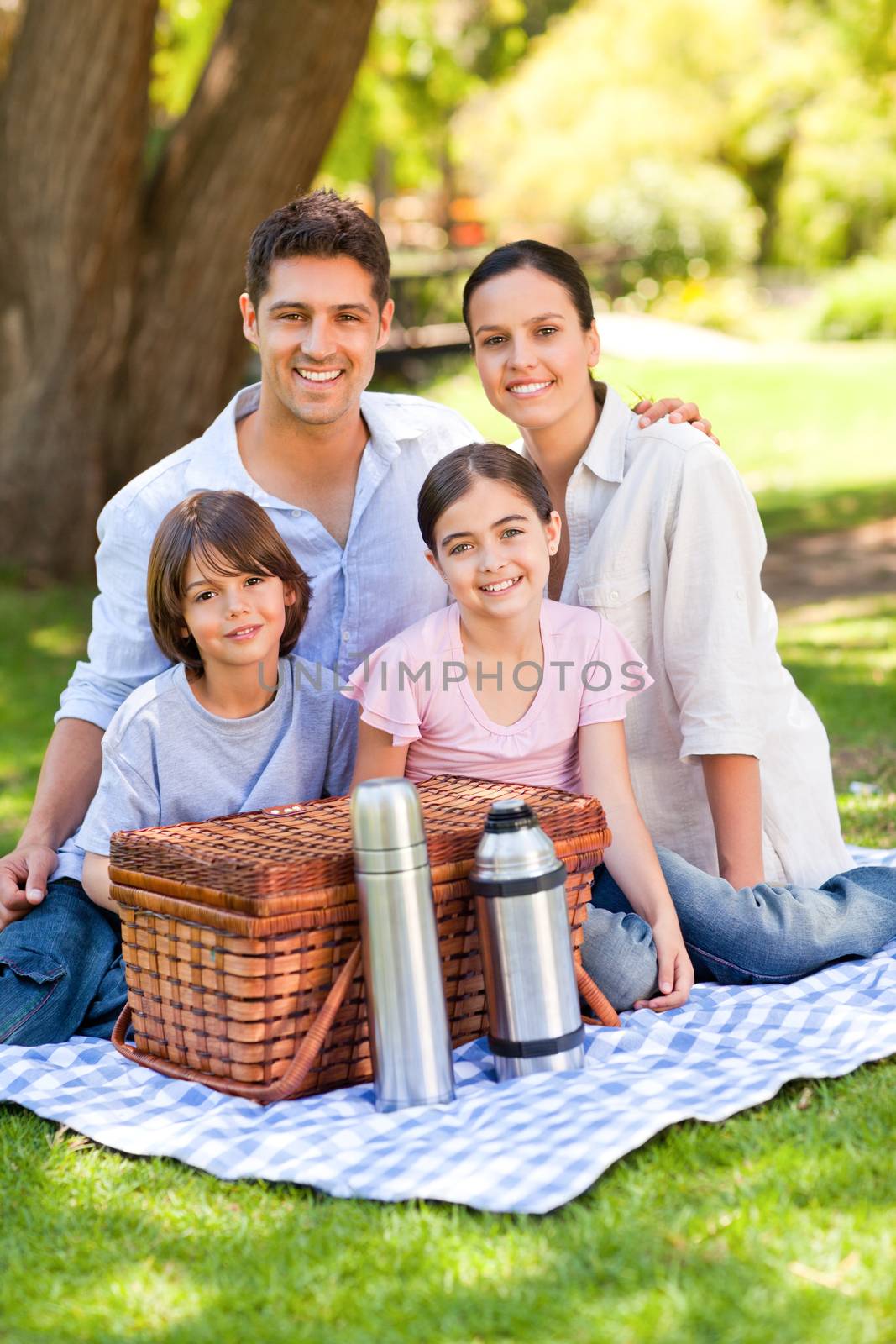 Happy family picnicking in the park during the summer
