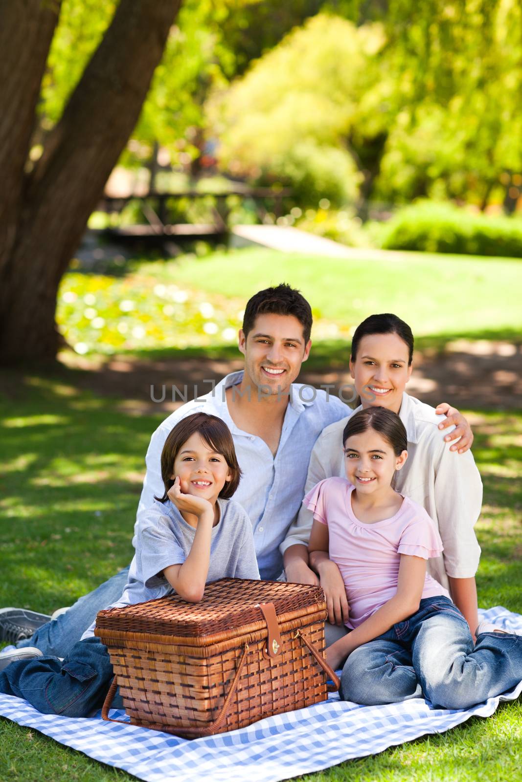 Family picnicking in the park by Wavebreakmedia
