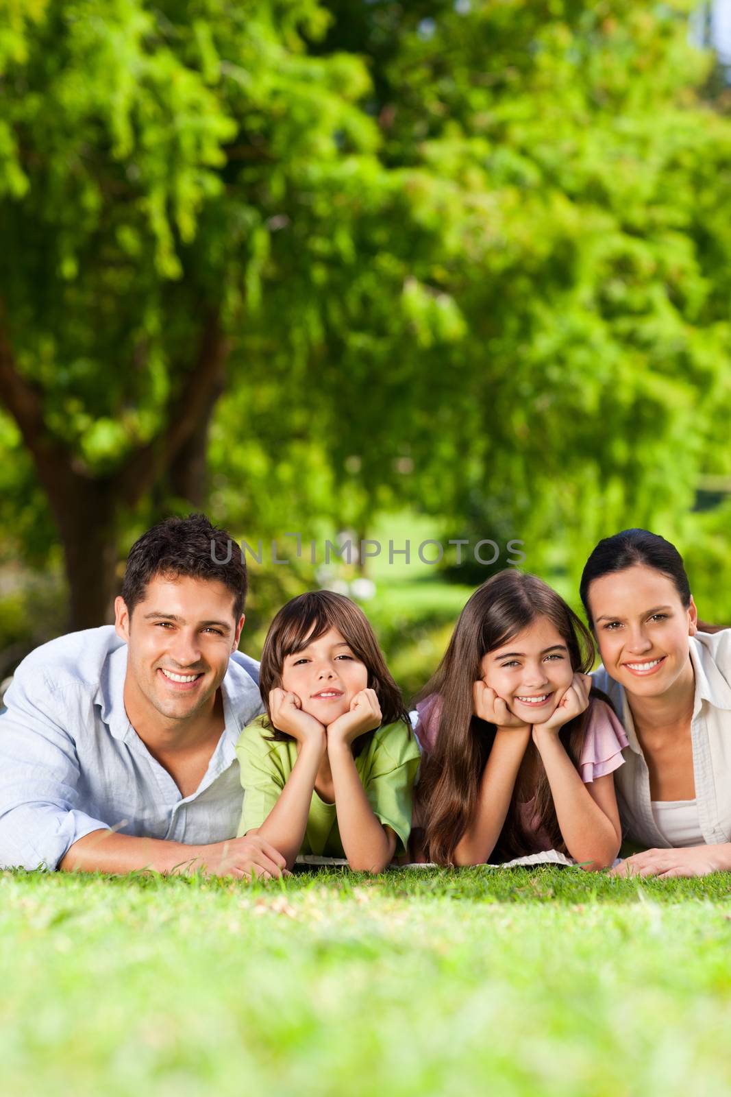 Family lying down in the park during the summer