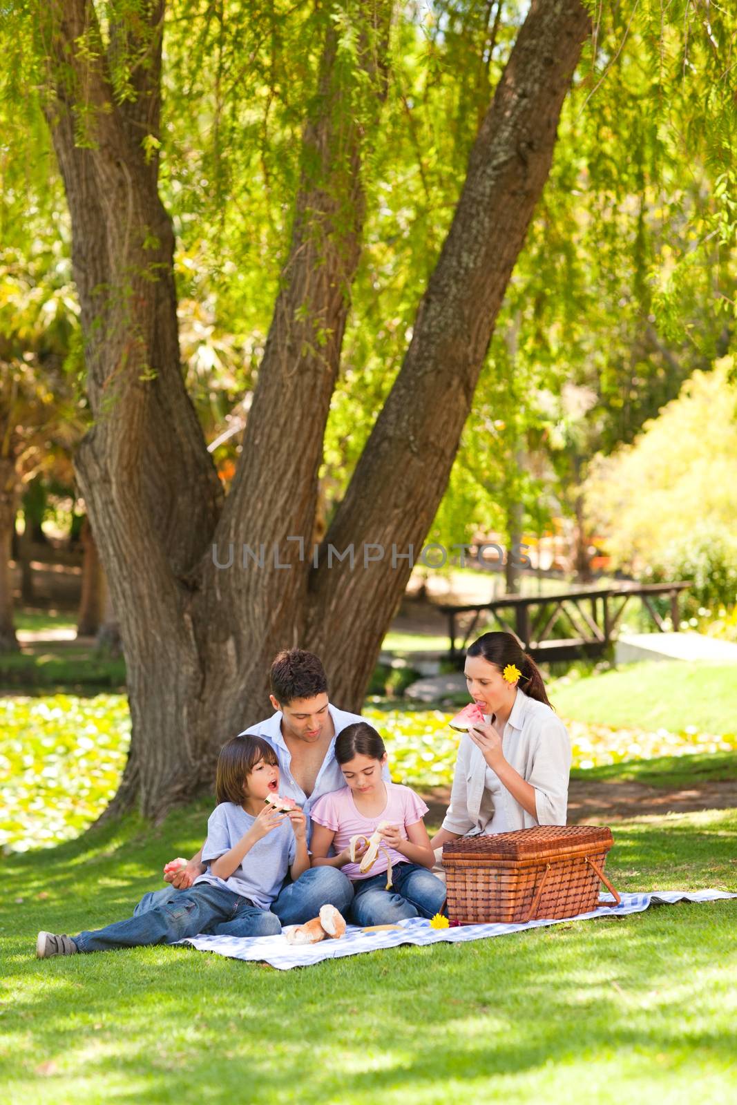 Cute family picnicking in the park during