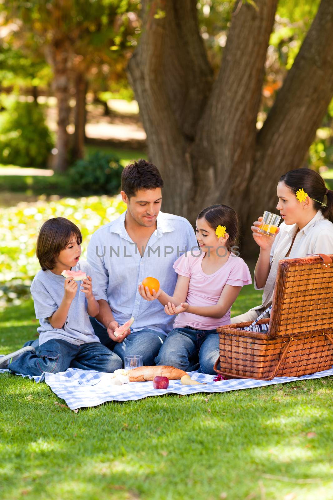 Lovely family picnicking in the park by Wavebreakmedia