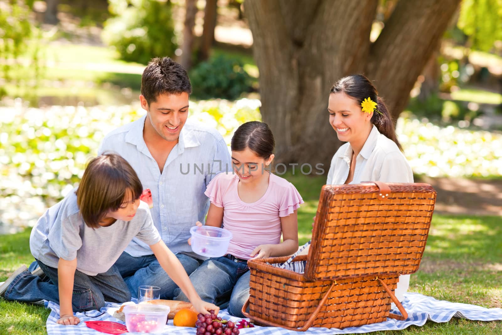 Lovely family picnicking in the park by Wavebreakmedia
