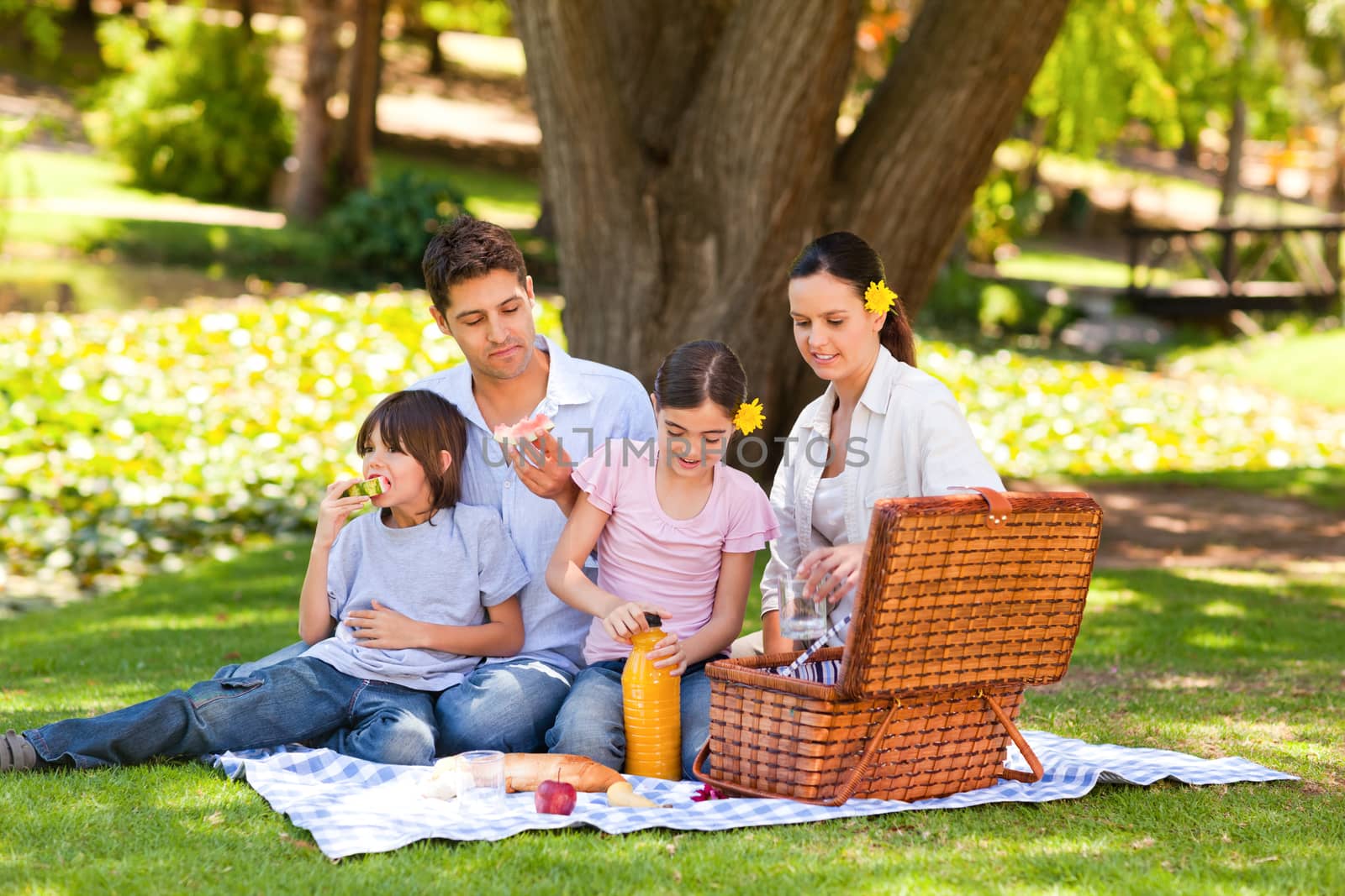 Lovely family picnicking in the park during the summer