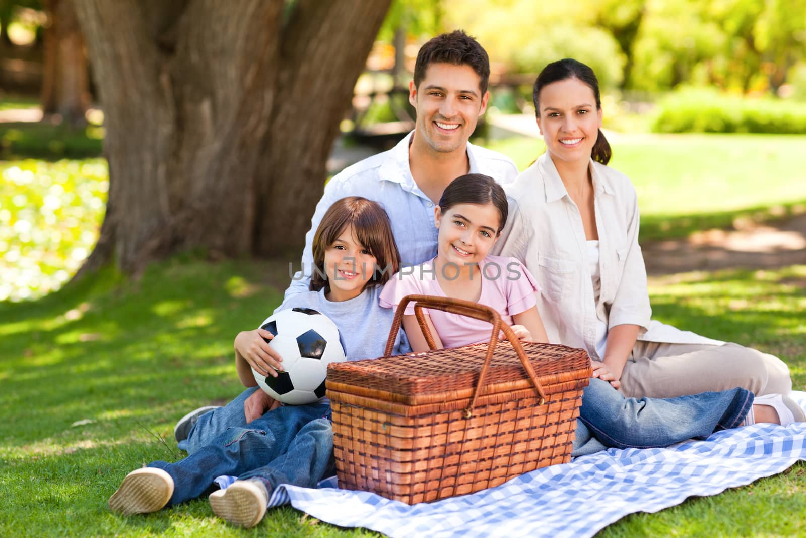 Happy family picnicking in the park during the summer