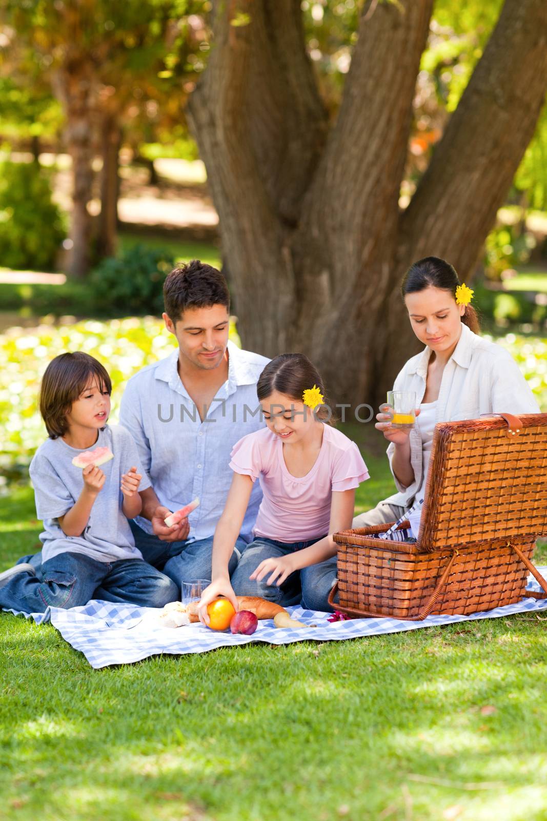 Lovely family picnicking in the park by Wavebreakmedia