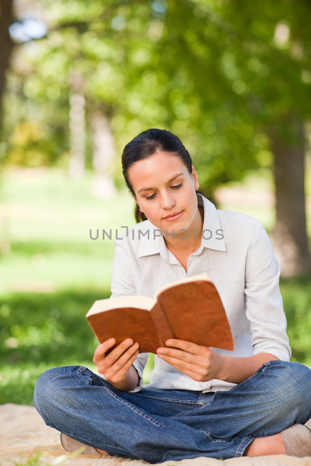 Woman reading in the park during the summer