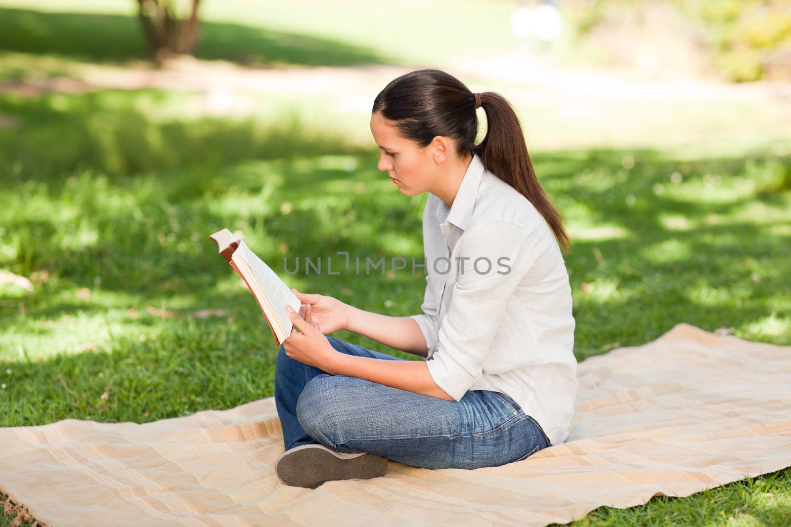 Woman reading in the park during the summer