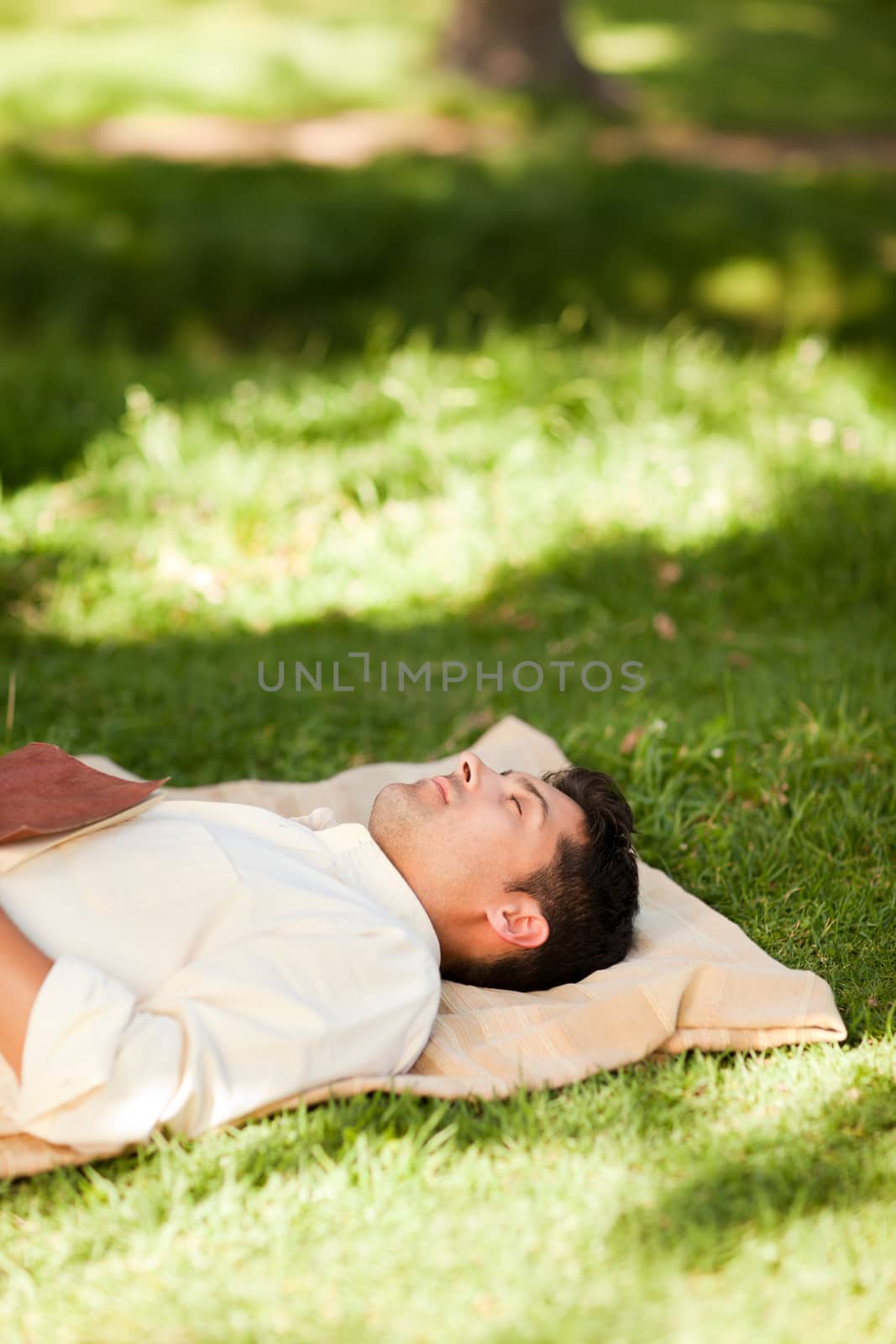 Man lying in the park with his book by Wavebreakmedia