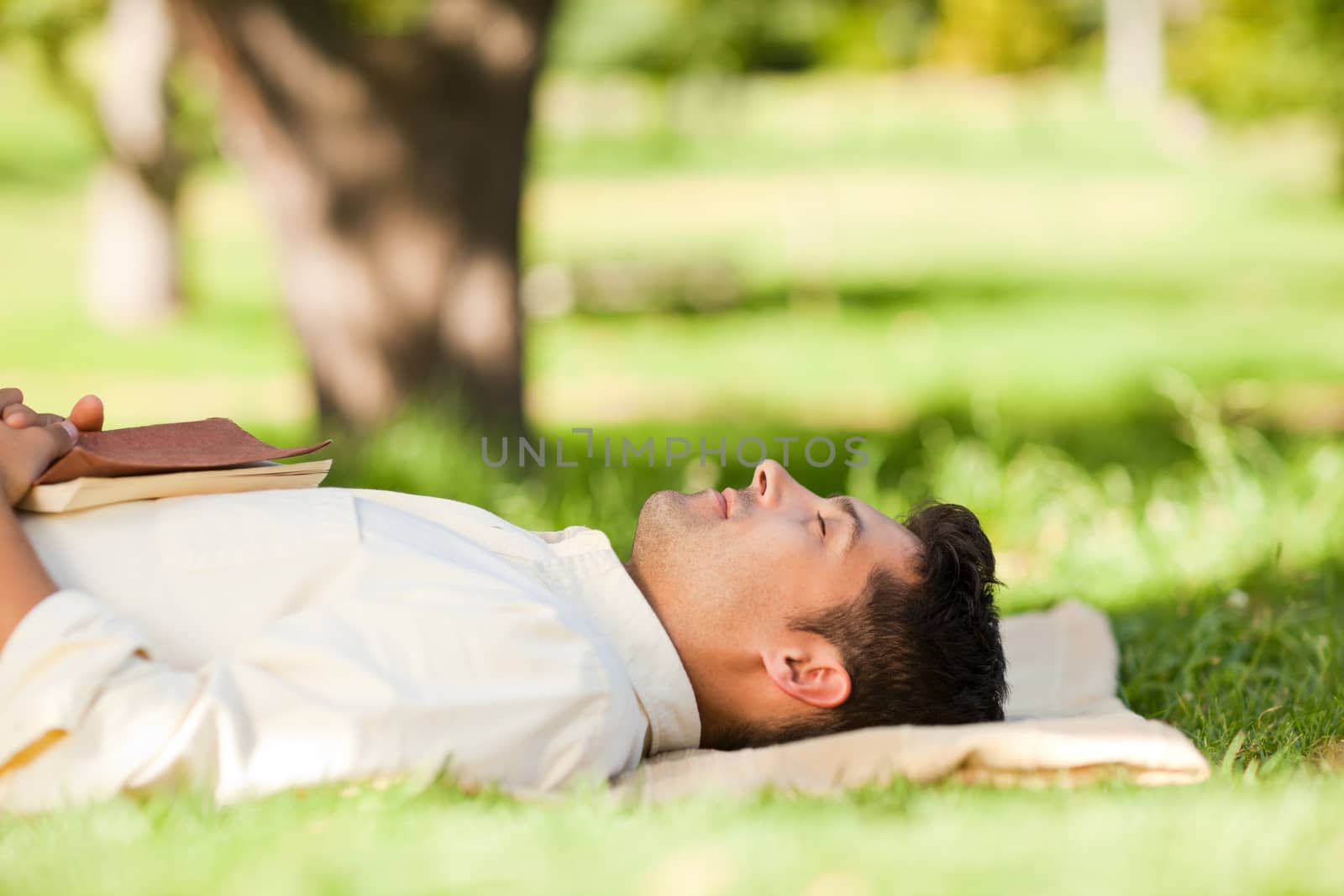 Man lying in the park with his book during the summer