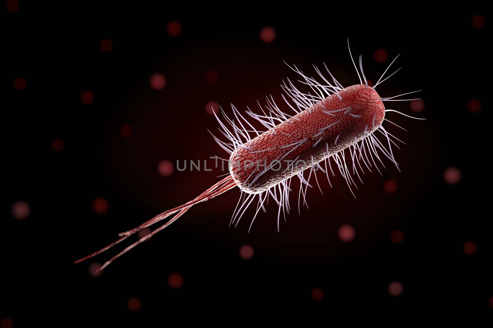 close up of microscopic bacteria , 3d illustration